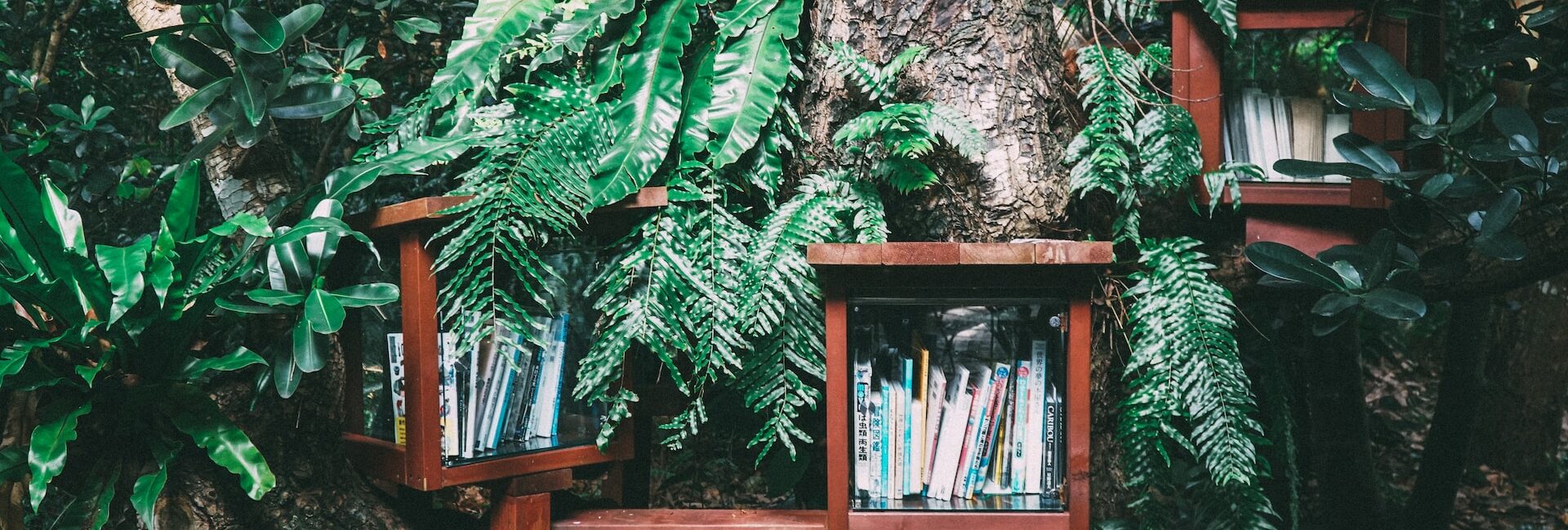 boîte à livres - Parigi